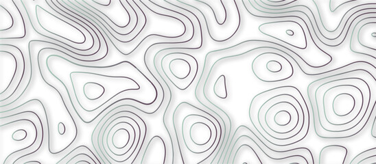 Abstract topographic contours 3d map background .topographic line texture background .monochrome image .stylized height of the topographic map contour in lines.	