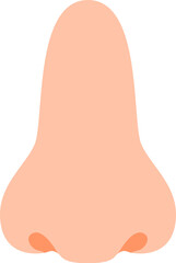 5 Sense of Smell Nose