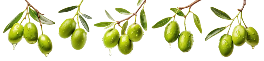 Foto auf Glas Set of olive branches with ripe and delicious olives, cut out © Yeti Studio