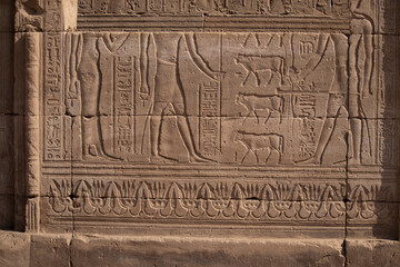 Ancient egyptian carvings and hieroglyphs at the temple of Horus in Edfu, Aswan, Egypt 