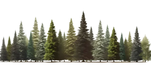 Fotobehang trees isolated on white © Coca