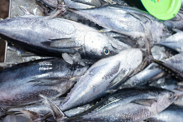 Fresh seafood variety fish sell in traditional asian market - 749178242