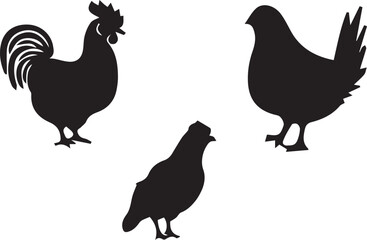 Farm Animals Rooster silhouettes set isolated white background