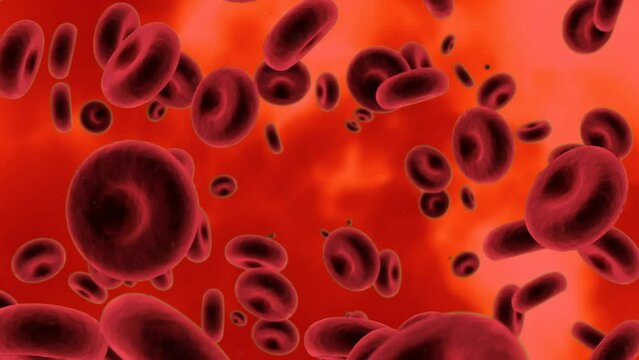 Animation of blood cells on red background