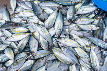 Fresh seafood variety fish sell in traditional asian market - 749178652