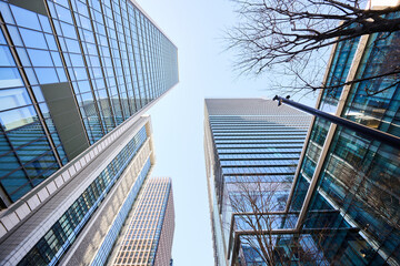 Fototapeta premium 丸の内の街並み