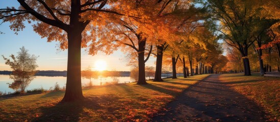 The sun is shining through the trees, creating a beautiful effect as it illuminates the leaves. The trees are located by the water, with the blue sky in the background.