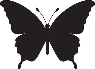 Butterfly Silhouette Vector Illustration White Background