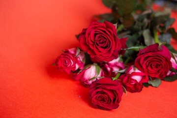 Red Roses Bouquet on Red Background. Valentines Day, Love, Romance. Copy Space. Top View.