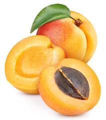 Isolated apricot with leaf