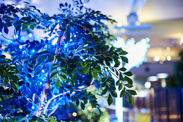 クリスマスイメージ