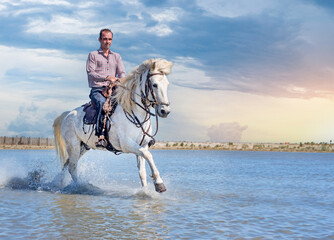 rider and horse on the beach