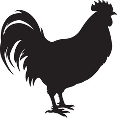 Chicken Silhouette Vector Illustration White Background