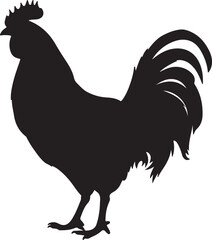 Chicken Silhouette Vector Illustration White Background