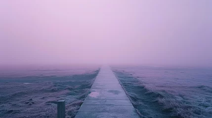 Photo sur Plexiglas Violet concrete road through thick fog in arid grasslands