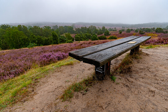 Turmberg - Heide