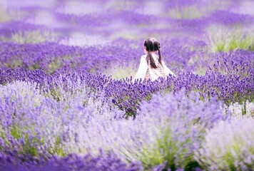 In the midst of the sprawling lavender field, a little girl stands, surrounded by a sea of purple...