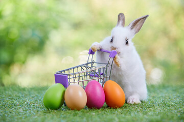 cute young rabbit pushing shopping trolley cart with easter eggs on a green grass