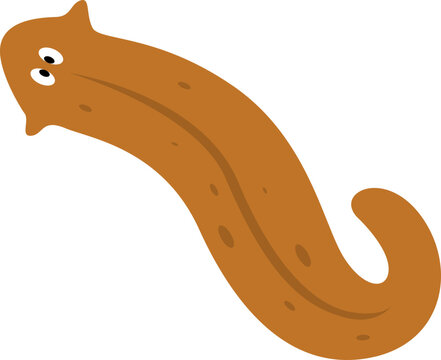 Planarian Flatworms Illustration
