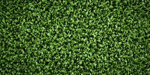 Tableaux sur verre Herbe Lush green grass texture, perfect for a natural background or wallpaper.
