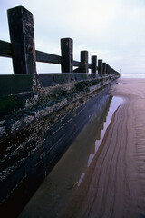 Wooden beach protection - esplanade - Aberdeen - Aberdeenshire - Scotland - UK