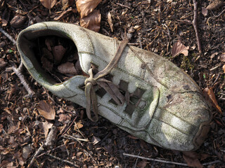 Abandonned shoe in a forest with dead leaves inside