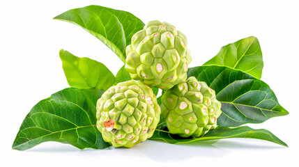 Noni fruits with leaves isolated on white background.