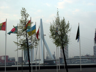 Erasmus bridge and flags from Leuvehoofd - Rotterdam - The Netherlands