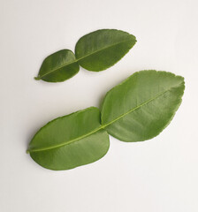 Obraz premium Bergamo teaves on White