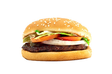 Hamburger meat and vegetables on file png