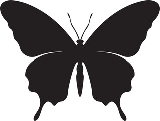 Butterfly Silhouette Vector Illustration White Background