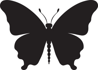Butterfly Silhouette Vector Illustration White Background