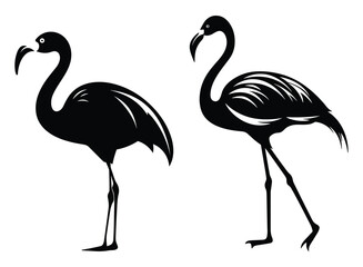 Fototapeta premium Flamingo black Silhouette vector, white background. 