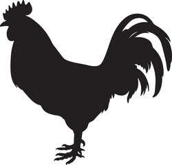 Chicken Silhouette Vector Illustration White Background