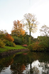 Vibrant and tranquil nature in Denmark