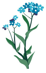 Fototapeta na wymiar Blue eyed grass, wildflower vegetation botany