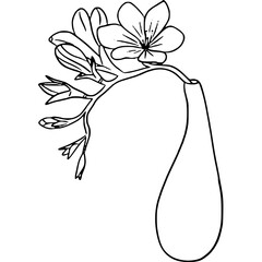 flower in a jar svg png
