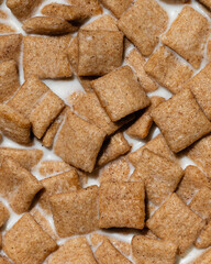 Cinnamon cereal in the milk