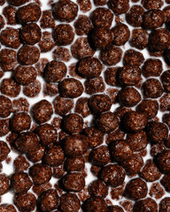 chocolate cereal in the milk