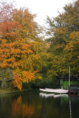 Fototapeta premium Vibrant and tranquil nature in Denmark