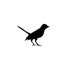 Bird Silhouette