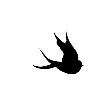 Bird Silhouette