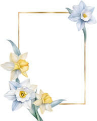 Watercolor painting of Daffodil Floral frame.