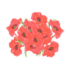 Hand drawn watercolor red poppy flowers bouquet isolated on white background. Can be used for post card, poster and other printed products.