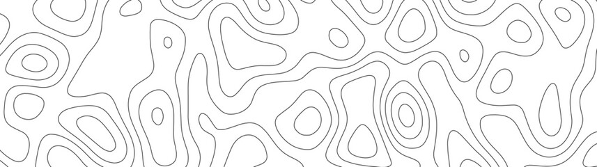 Abstract white topography vector background. Topographic map. Geographic mountain relief. counter map wavy line paper textrue. grid curve line abstract vector illustration .