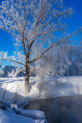 Beautiful winter landscape with snow-covered trees on the river bank
