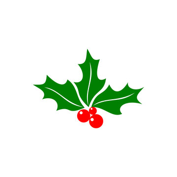 Holly berry icon isolated on transparent background