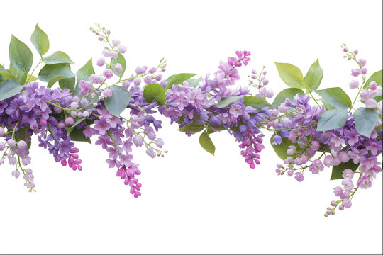 Lilac Purple Wisteria Garland on White Backdrop