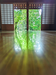 反射する緑豊かな木