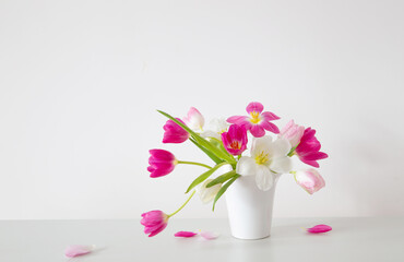 white and pink  tulips in white vase on background wall